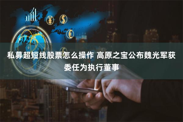 私募超短线股票怎么操作 高原之宝公布魏光军获委任为执行董事