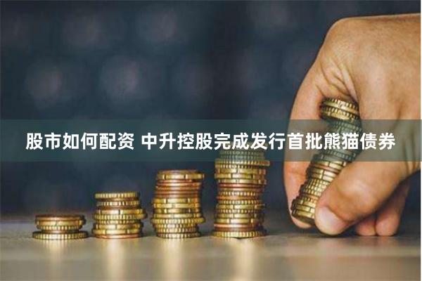 股市如何配资 中升控股完成发行首批熊猫债券