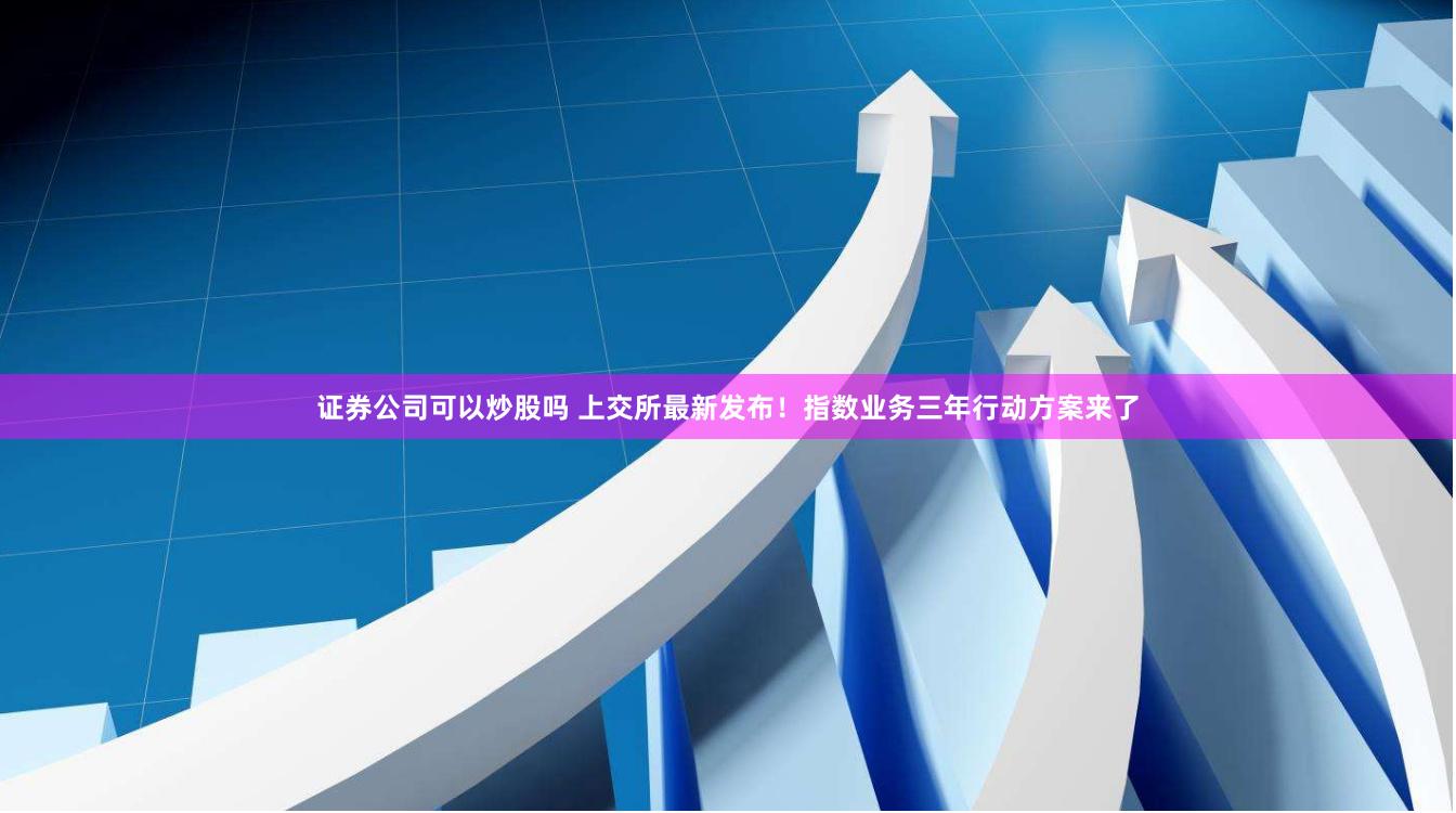 证券公司可以炒股吗 上交所最新发布！指数业务三年行动方案来了