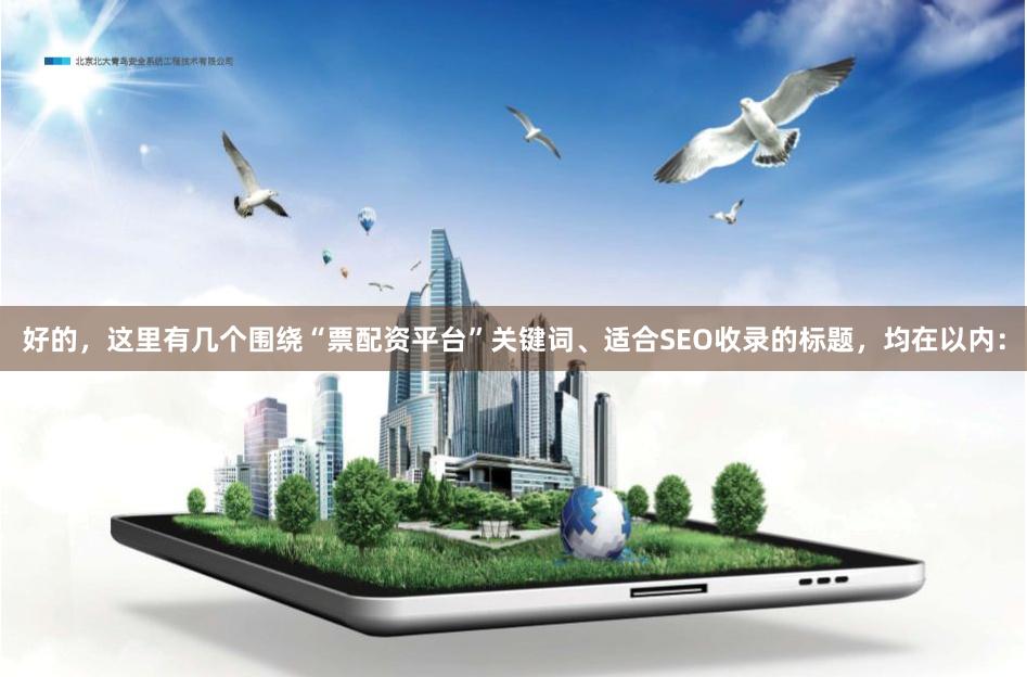 好的，这里有几个围绕“票配资平台”关键词、适合SEO收录的标题，均在以内：